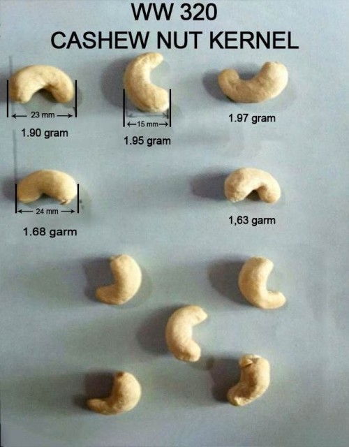 Cashew Nuts Raw Without Shell W320 W240 W450 W180 Fast Delivery OEM/ODM Packaging Vacuum Beal bags Good Price