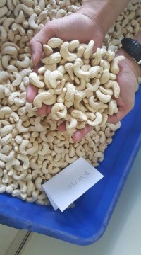 Cashew Nuts Raw Without Shell W320 W240 W450 W180 Fast Delivery OEM/ODM Packaging Vacuum Beal bags Good Price