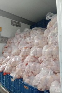 Frozen whole chicken for sale Bulk frozen whole chicken