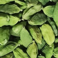 High Quality Green Cardamom Seasonings Spices for Good Flour Available at Wholesale Price