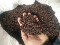 Spices Supplier Wholesale High Quality Dried Whole Cloves Ab6 Dry Clove In Good Price