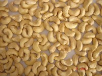 Roasted cashews nut with salt Good price OEM brand Hivas cashew vacuum 5kg Grade W180 W320 W450, delivery fast