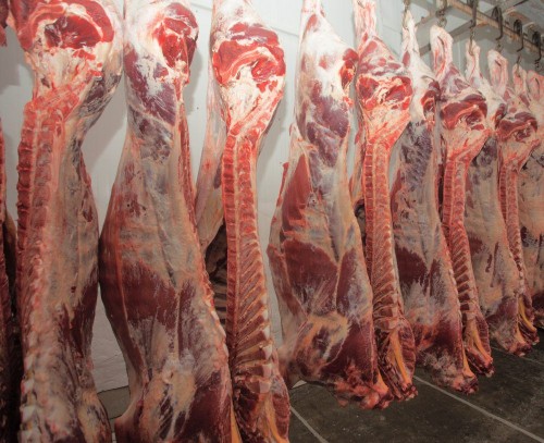 Buffalo Boneless Meat/ Frozen Beef ,cow meat,Goat beef meat for wholesale Price