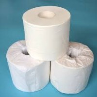 Factory high quality ultra soft best toilet paper in the world toilet tissue roll