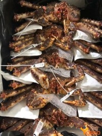 Alive Alaska King Crab for  sale