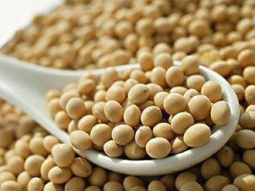 Soybean Meal For Animal Feed Top Grade In Bulk For Sale