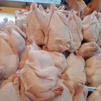 Frozen whole chicken for sale Bulk frozen whole chicken