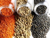 Premium Quality Red/Green/Brown Lentils for sale