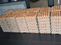 Hot Selling Cheap Farm Fresh Chicken Table Eggs Brown and White Shell Chicken Eggs for sale