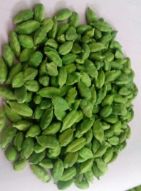 High Quality Green Cardamom Seasonings Spices for Good Flour Available at Wholesale Price