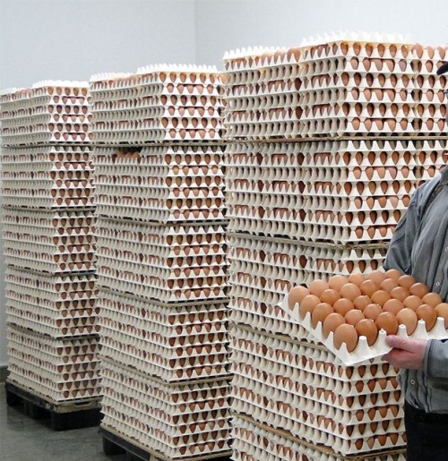 Hot Selling Cheap Farm Fresh Chicken Table Eggs Brown and White Shell Chicken Eggs for sale