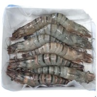 Good Price Good Supplier Frozen Black Tiger Vannamei Shrimp HOSO