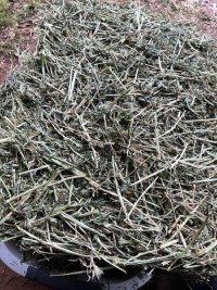 Affordable High-Quality Alfalfa And Timothy Hay For Animal Feed At Discounted Prices Best Animal Feeding Supplier