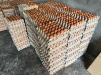 Hot Selling Cheap Farm Fresh Chicken Table Eggs Brown and White Shell Chicken Eggs for sale