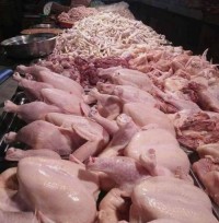 Frozen whole chicken for sale Bulk frozen whole chicken