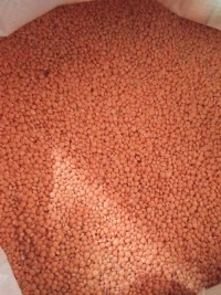 Premium Quality Red/Green/Brown Lentils for sale