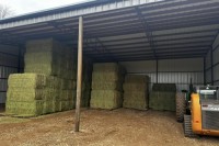 Affordable High-Quality Alfalfa And Timothy Hay For Animal Feed At Discounted Prices Best Animal Feeding Supplier