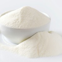 ORGANIC COCONUT MILK POWDER / COCONUT MILK POWDER WITH COMPETITIVE PRICE