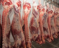 High Quality Fresh Frozen Pork Meat Pork Front Feet / High Quality Wholesale Frozen Pork Hind Feet Low Price