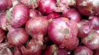 Best quality new crop red onion wholesale fresh onion factory export price